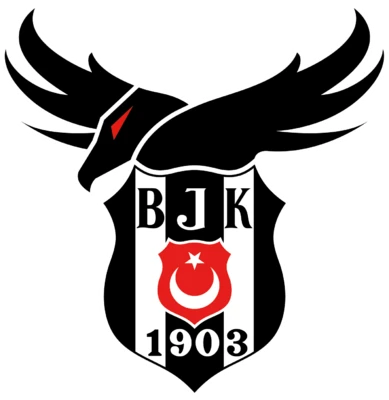 Beşiktaş Esports