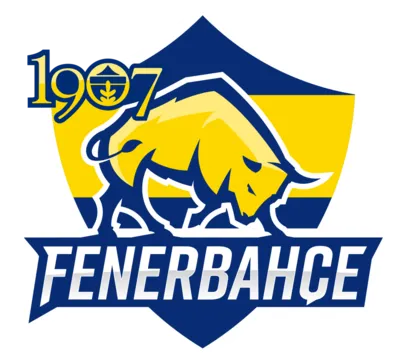 Fenerbahçe Esports
