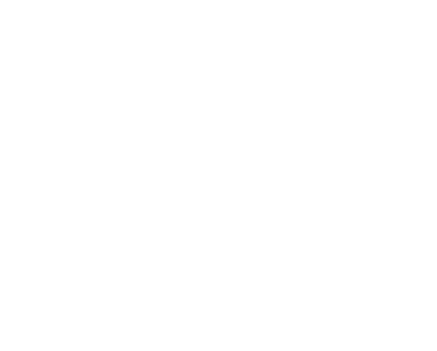 MAD Team