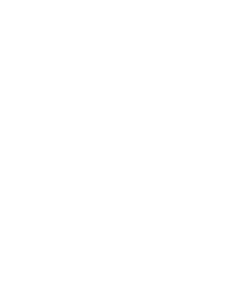 FALKN
