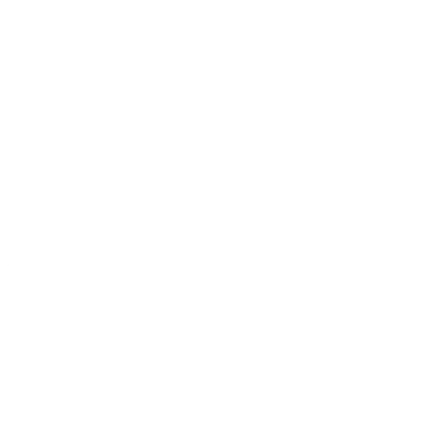 Cyber Wolves Esports