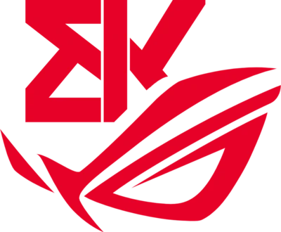 BK ROG Esports