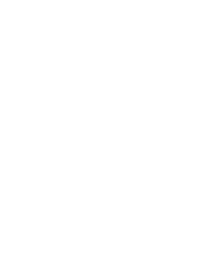 Team Whales