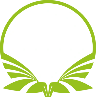 Team Singularity